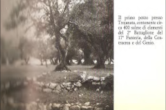 Immagine11